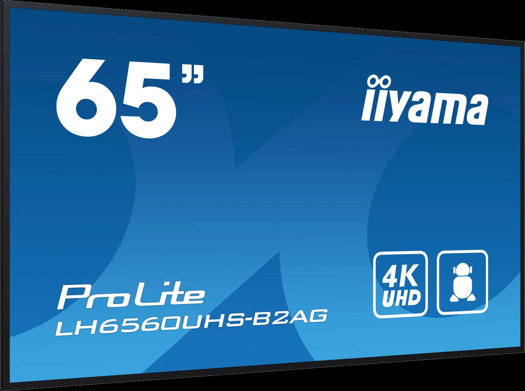 iiyama ProLite LH6560UHS 65 inç 4K digital signage ekran